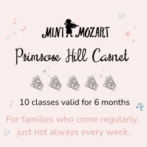 Primrose Hill Carnet